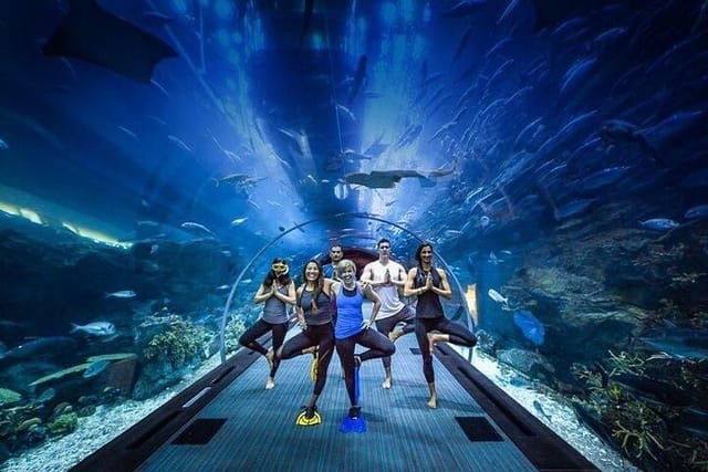 dubai-aquarium-with-glass-bottom-boat-tour_1